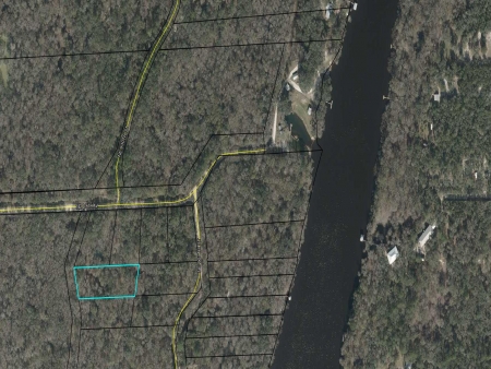 Gornto Springs NE 816th